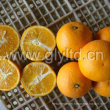 Chinese Exported Standard Fresh Valencia Orange